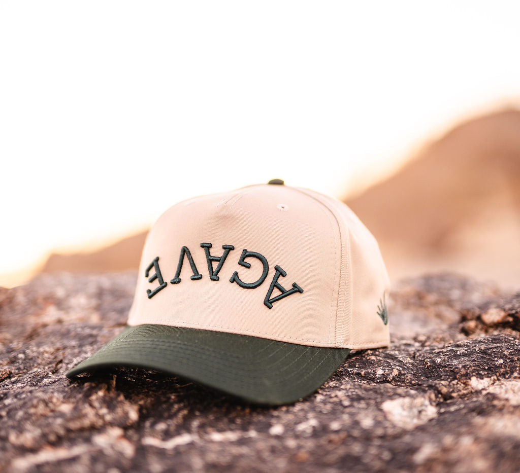Agave Reverse Snapback